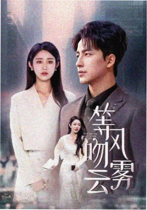 天天看片片单条目《夜市放映簿》的剧集分类示意图